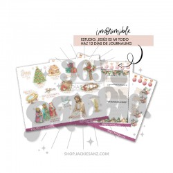 PLANTILLA PARA ESTUDIO:...